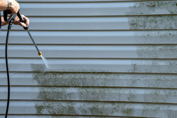 Best Property Management Cleanouts  in Three Lakes, FL